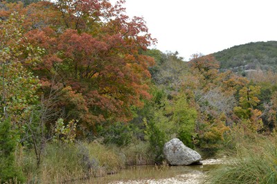 November 4, 2013 photo 5 by Richard Treece