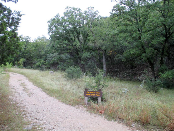 4_600x450.jpg