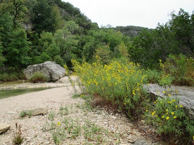 6_600x450.jpg