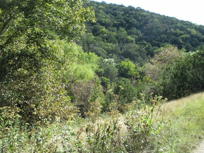 1_600x450.jpg