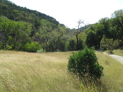 3_c_600x450.jpg