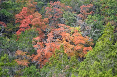 October 27, 2013 photo 1 by Richard Treece