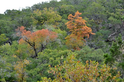 October 28, 2013 photo 3 by Richard Treece