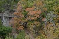 View a larger version of this Fall Foliage photo taken on October 27, by Richard Treece.