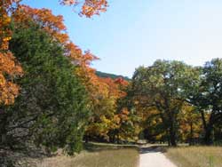 110805_250x188.jpg