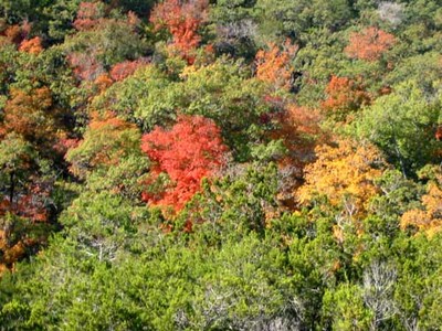 110805_3_500x375.jpg