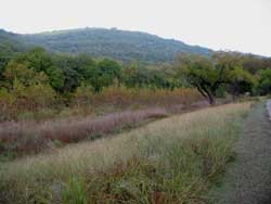 sabinalriver_250x188.jpg