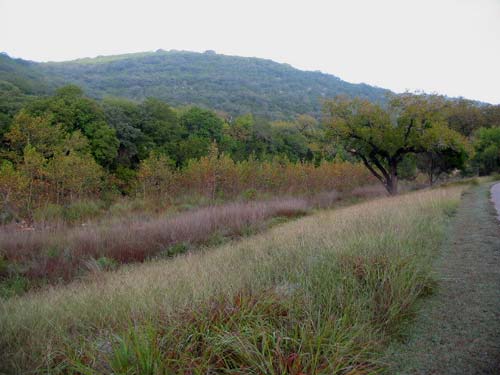 sabinalriver_500x375.jpg