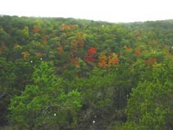 easttrail_250x188.jpg