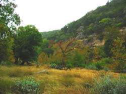 mapletrail_250x188.jpg