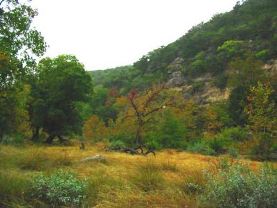 mapletrail_500x375.jpg