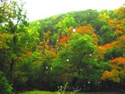 trail2ponds_250x188.jpg