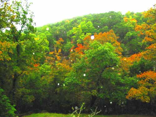 trail2ponds_500x375.jpg