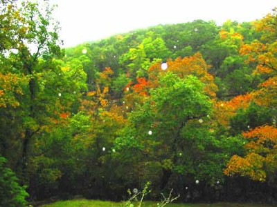 trail2ponds_500x375.jpg
