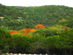 picnicarea4_250x188.jpg