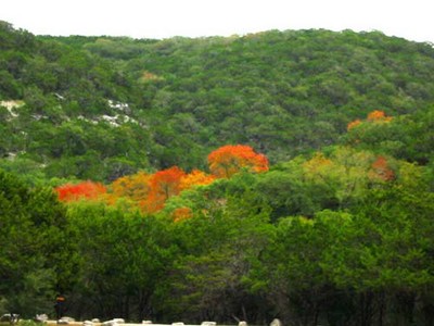 picnicarea4_500x375.jpg