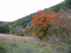 mapletrail_250x188.jpg