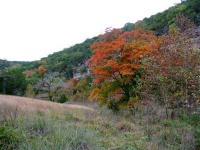 mapletrail_500x375.jpg