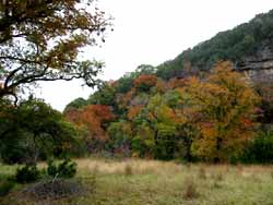 Lost Maples 11/08/06 - Click on picture to view a larger image. Use your back button to return. 