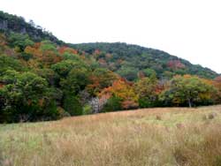 Lost Maples 11/08/06 - Click on picture to view a larger image. Use your back button to return. 