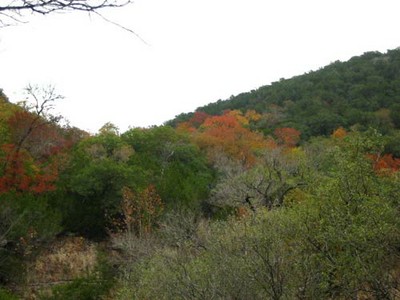 mapletrail_500x375.jpg