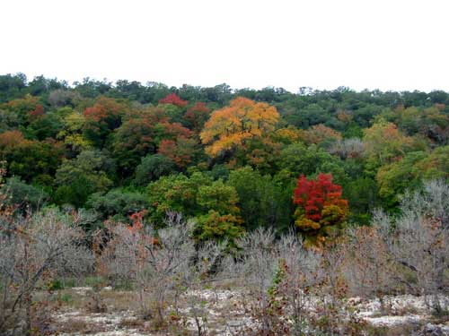 sabinalriver_500x375.jpg