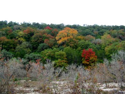 sabinalriver_500x375.jpg