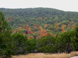 Lost Maples 11/08/06 - Click on picture to view a larger image. Use your back button to return. 