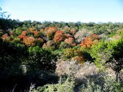 sabinalriver2_250x188.jpg