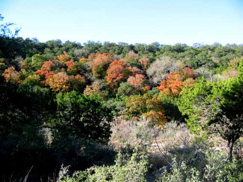 sabinalriver2_500x377.jpg