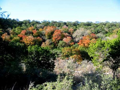 sabinalriver2_500x377.jpg