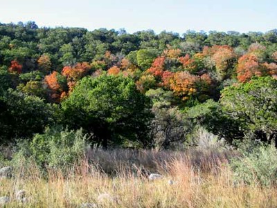 sabinalriver_500x377.jpg