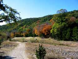 trail2ponds3_250x188.jpg