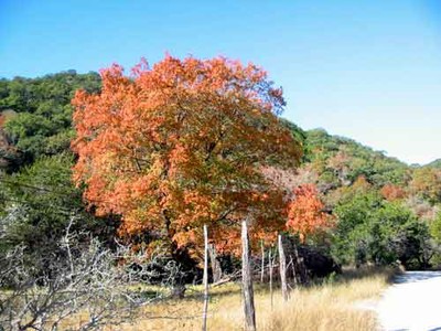 easttrail2_500x375.jpg
