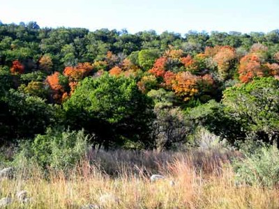 sabinalriver_500x375.jpg