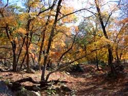 trail2ponds_250x188.jpg