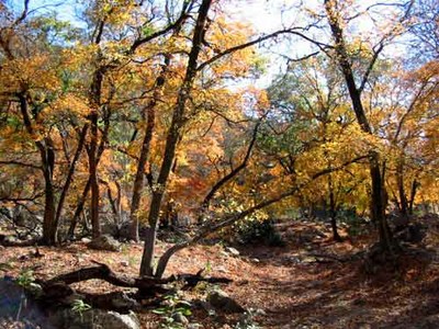 trail2ponds_500x375.jpg