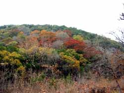 easttrail2_250x188.jpg