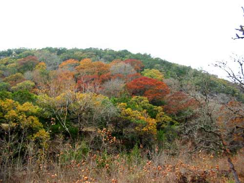 easttrail2_500x375.jpg