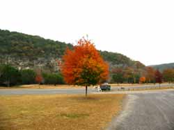 picnicarea2_250x188.jpg