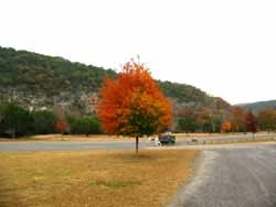 picnicarea2_250x188.jpg