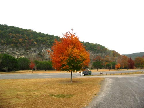 picnicarea2_500x375.jpg