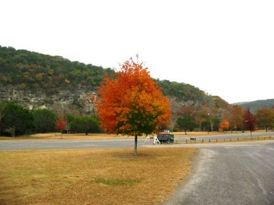 picnicarea2_500x375.jpg