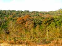 sabinalriver_200x150.jpg