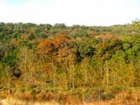 sabinalriver_200x150.jpg