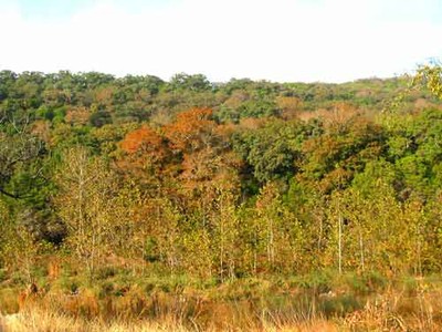 sabinalriver_500x376.jpg