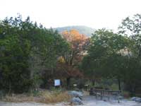 stchampmaple_200x150.jpg