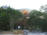 stchampmaple_200x150.jpg