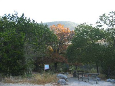 stchampmaple_500x375.jpg