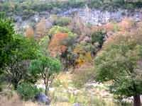 mapletrail_200x150.jpg